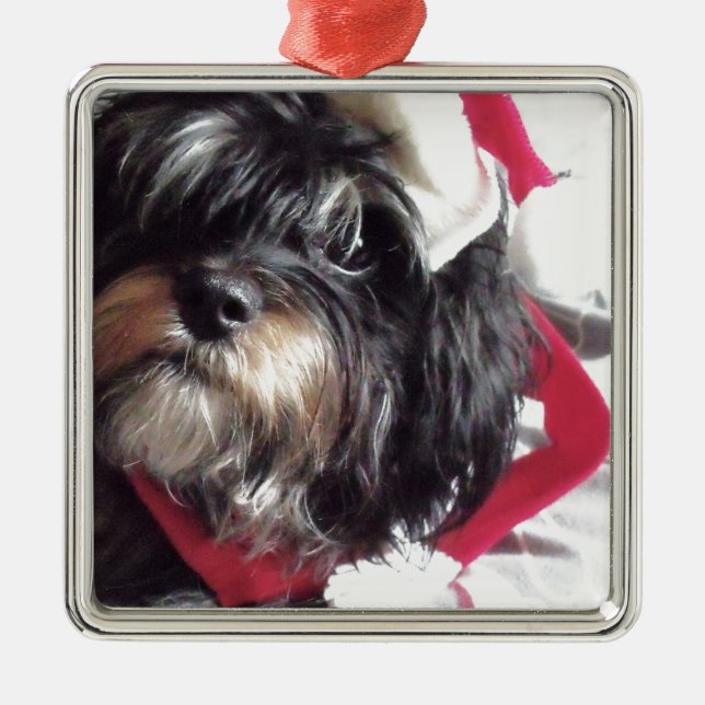 Christmas Shih Poo Metal Tree Decoration (Front)