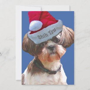 Christmas Shih Tzu 10 pk Cards