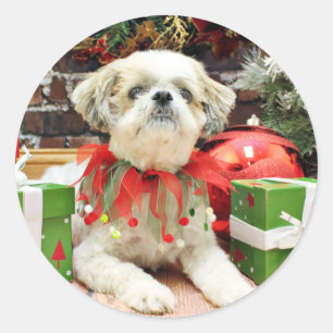 Christmas - Shih Tzu - Bailey Classic Round Sticker
