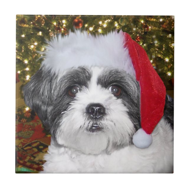 Christmas Shih Tzu Dog Tile (Front)