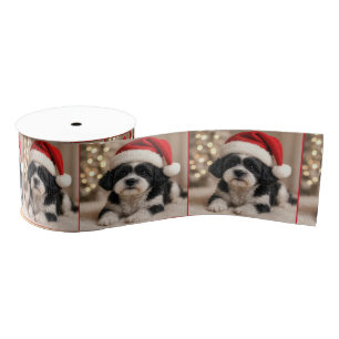 Christmas Shih Tzu Dog With Santa Hat Grosgrain Ribbon