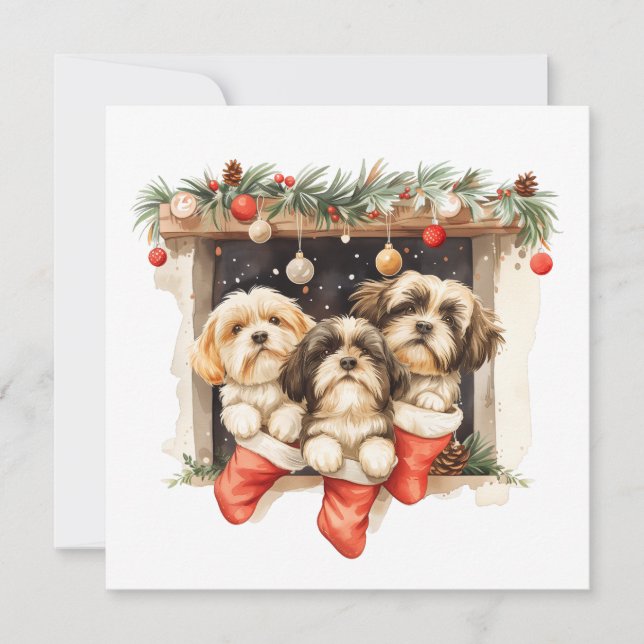 Christmas Shih Tzu Dogs Holiday Card (Front)