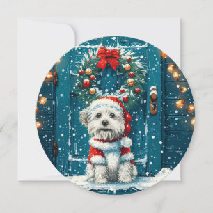 Christmas Shih Tzu Dogs Holiday Card