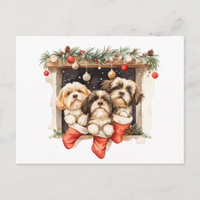Christmas Shih Tzu Dogs Postcard (Front)