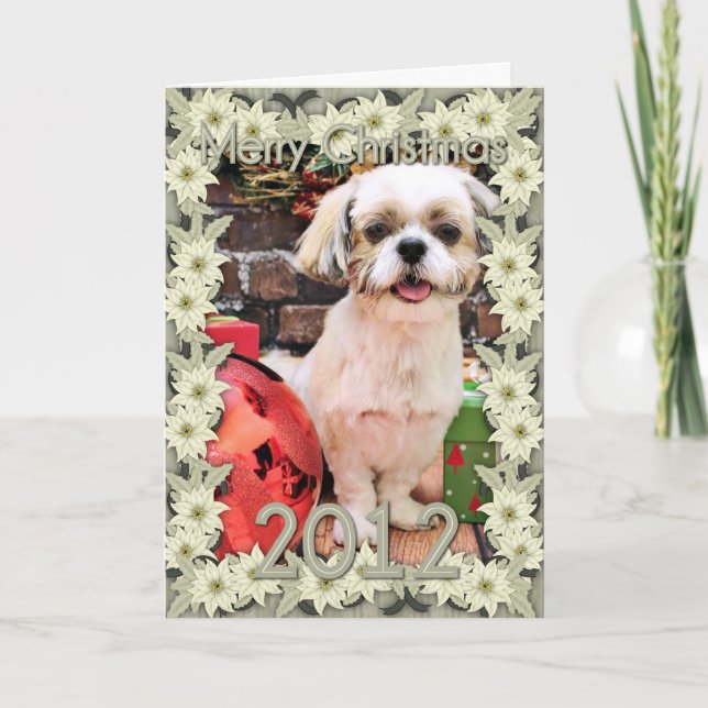 Christmas - Shih Tzu - Marley Holiday Card (Front)