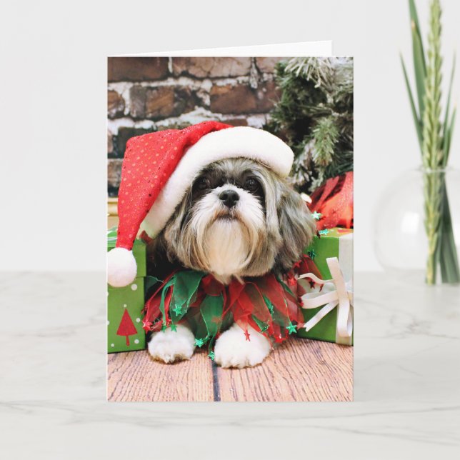 Christmas - Shih Tzu - Vince Holiday Card (Front)
