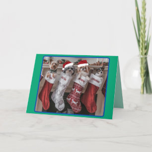 Christmas Small Dog Mantle Holiday Card