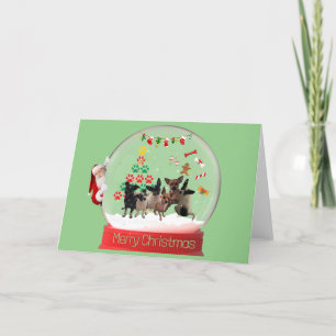 Christmas Snow Globe Chihuahuas Card