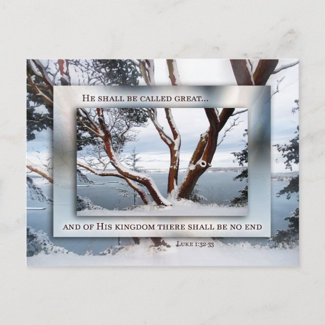 Christmas Snow over Bay Holiday Postcard (Front)