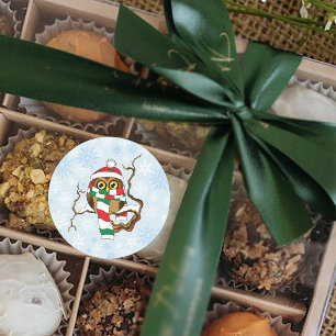 Christmas Snowflake Owl Classic Round Sticker