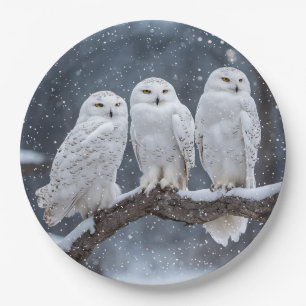 Christmas Snowy Owls Paper Plate
