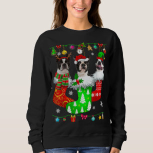Christmas Socks Pajama Boston Terrier Dog Puppy Lo Sweatshirt