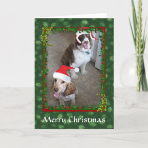 Christmas Spaniel Pets Santa's Helpers Card