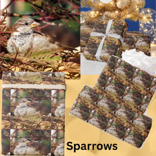 Christmas Sparrow Wrapping Paper