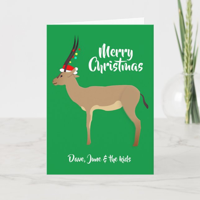 Christmas Springbok Holiday Card (Front)