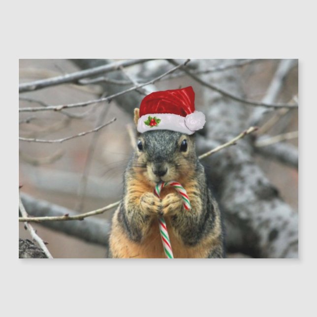 Christmas Squirrel (Front)