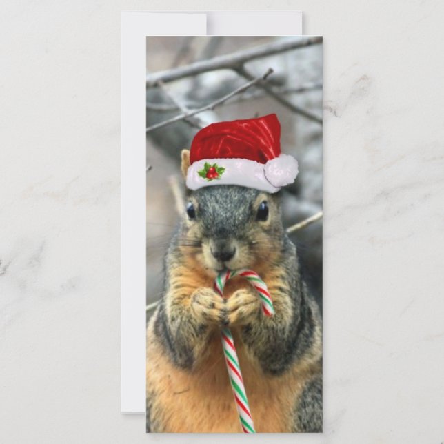 Christmas Squirrel (Front)