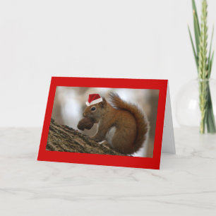 christmas squirrel holiday card