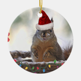 Christmas Squirrel in Basket with Snow Ceramic Tree Decoration