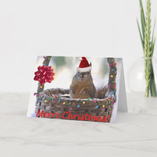 Christmas Squirrel in Basket with Snow Holiday Card