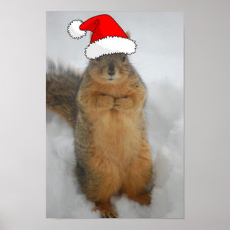 Christmas Squirrel Poster