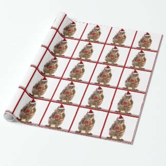 Christmas Squirrel with Candy Cane Wrapping Paper