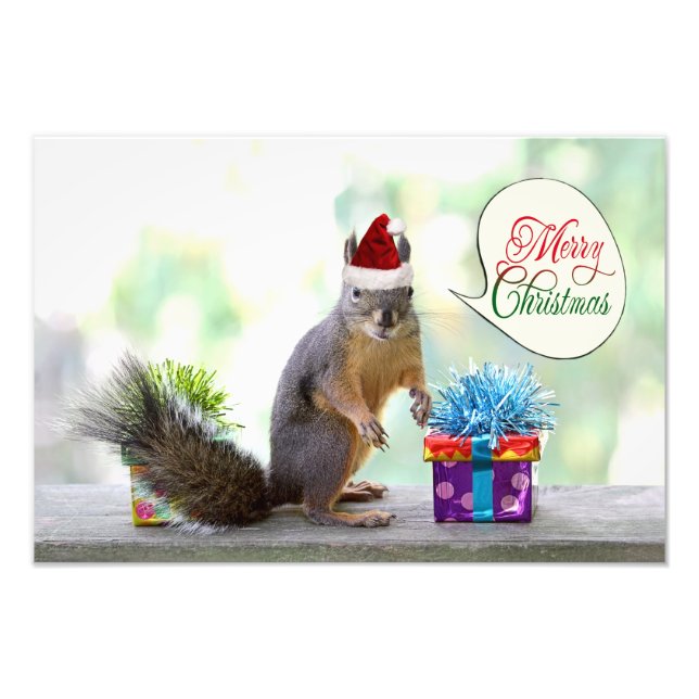 Christmas Squirrel with Christmas Presents Photo Print (Front)