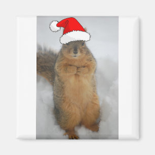 Christmas Squirrel with Santa Magnet