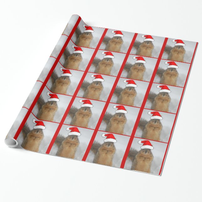 Christmas Squirrel Wrapping Paper (Unrolled)