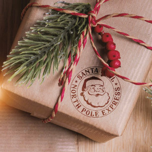 Christmas Stamp Special Delivery Santa Claus Stamp