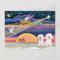 Christmas Star - Bichon Frise (two)