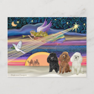 Christmas Star - Poodles (three Toy) - Holiday Postcard