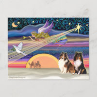 Christmas Star - Shetland Sheepdog (2)