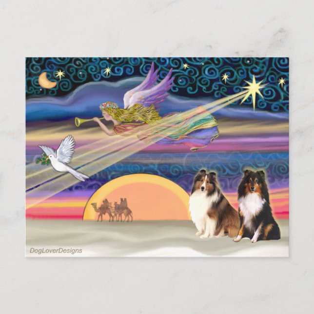 Christmas Star - Shetland Sheepdog (2) Holiday Postcard (Front)