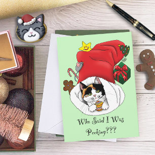 Christmas Stocking Cute Calico Kitten Card