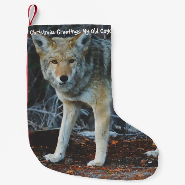 Christmas Stocking My old Coyote (Front)