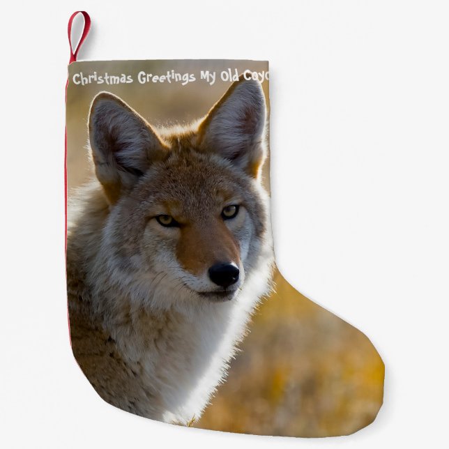Christmas Stocking My old Coyote (Front)