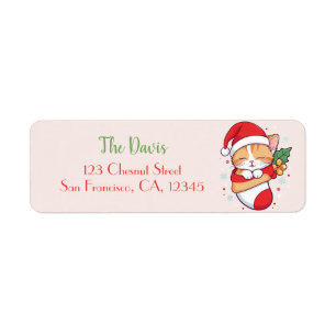 Christmas Stocking - Sleeping Kitten in Santa Hat