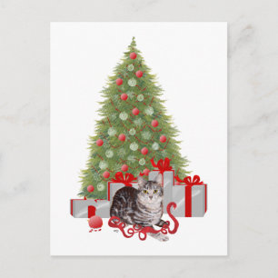 Christmas Tabby at the Tree Holiday Postcard
