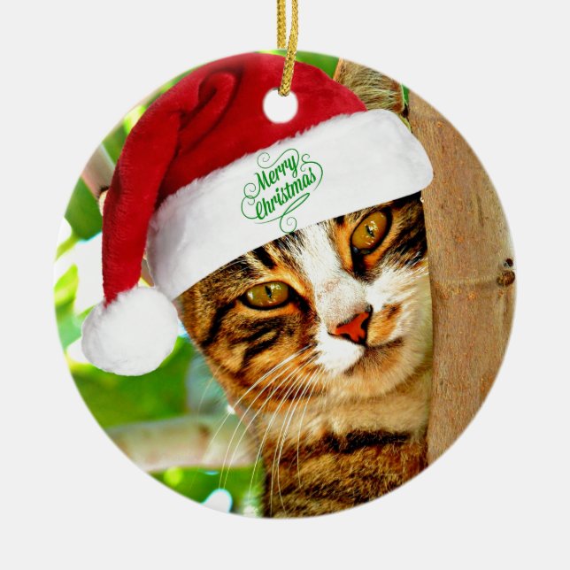 Christmas Tabby Cat in a Tree Ceramic Tree Decoration (Front)