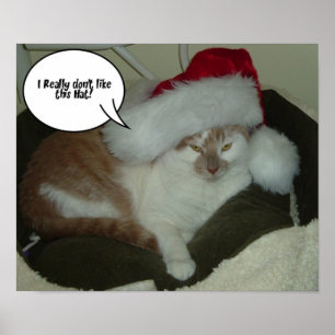 Christmas Tabby Cat Poster