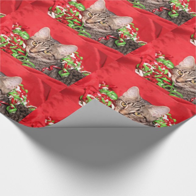 Christmas tabby kitty cat wrapping paper (Corner)
