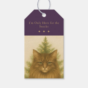 Christmas Tag Maine Coon Cat Illustration