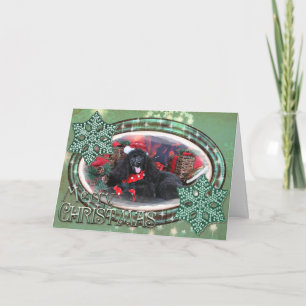 Christmas - Toby - Poodle Holiday Card