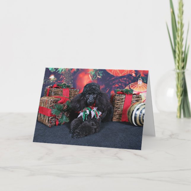 Christmas - Toby - Poodle Holiday Card (Front)