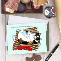 Christmas Toy Box Cat