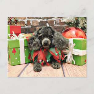 Christmas - Toy Poodle - Annie Holiday Postcard