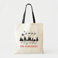 Christmas traditional reindeer sleigh teacher