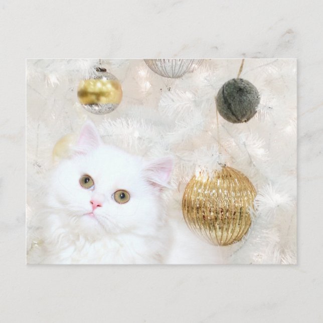 Christmas tree and kitty cat match holiday postcard (Front)
