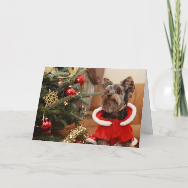 Christmas Tree And Yorkie Puppy Holiday Card (Front)